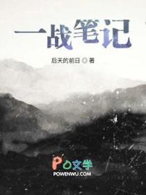 一战战史简介