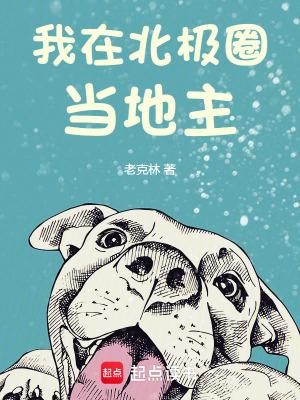 在北极圈内的城市