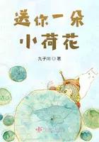 送你一朵小荷花歌词