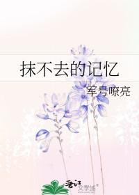 抹不去的回忆简谱