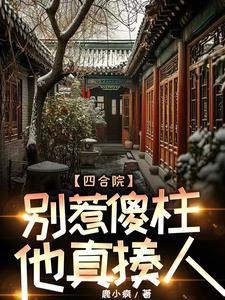 四合院傻柱崛起