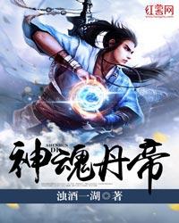神魂丹帝 在线阅读