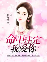 命中注定我爱你百度百科